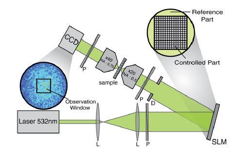 Measurement of an optical transmission
