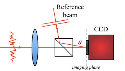 Another technique using SLM: Digital Optical Phase Conjugation (DOPC) Cui, M., & Yang, C.