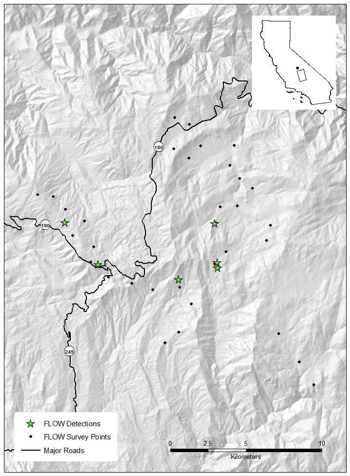 Figure 2. Flammulated Owl survey detections for the Hume Lake Ranger District, 2011.