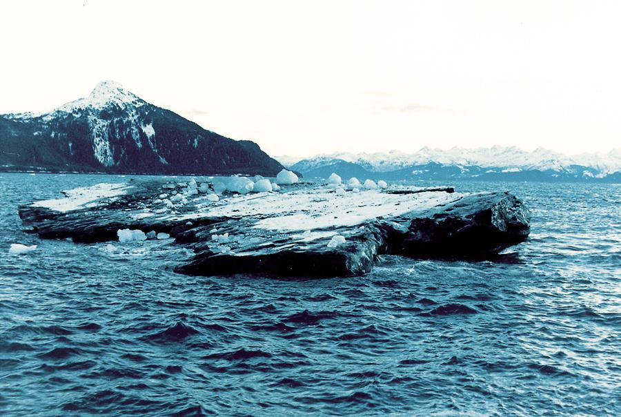 Other icebergs (growlers) are difficult to visually detect, especially as light dims and weather conditions worsen Many stakeholders participated in the development and implementation of the ice