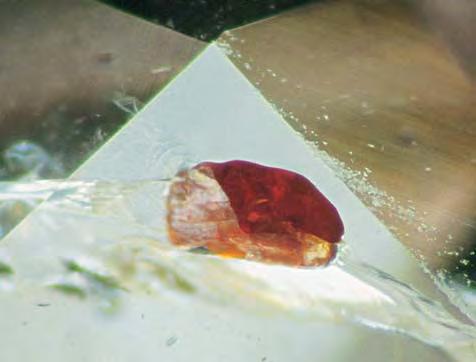 Figure 7. This translucent dark orange rutile inclusion in a Dora Maira pyrope measures 0.22 mm long. Photomicrograph by A. Donini. Figure 8.