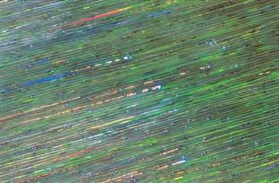 Figure 18. In a view perpendicular to the length of the grain in the 15.10 ct cabochon of opalized wood, the play-of-color is seen as distinct streaks or compact parallel bands. Magnified 35.