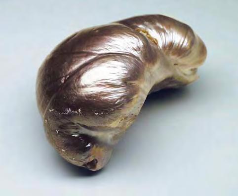 Figure 17. The torso of the centaur in this statuette is actually a natural blister pearl that weighs 856.58 ct. Photo by Kenneth Scarratt. Figure 18. After being removed from the statuette, the 856.