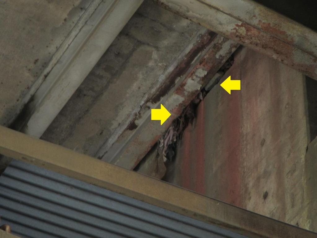 Figure 6. A possible crevice that houses bats near the coarse crusher. The yellow arrows point to the large crevice.