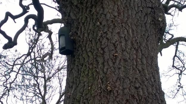 wall. Photo 8: The bat box attached