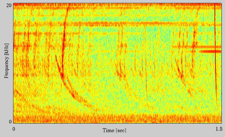 The Swallow-Tailed Whistler, i.e. STW. The phenomenon: - whistler-like main-trace, - v -shaped or monotonously increasing secondary trace. Data: sensor: ICE E34 no.