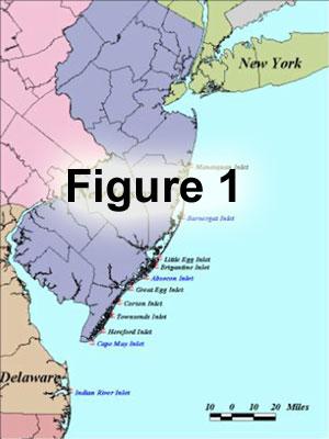 Five tidal inlets, Shark River, Manasquan, Barnegat, Absecon, and Cape May, have Federally authorized projects (one within New York District and four within Philadelphia District).