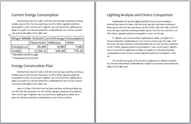 conservation Learner guided project Independant research Local energy costs Various lighting option