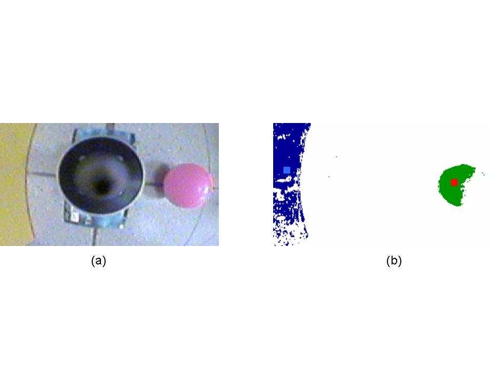 6 Fig. 5. (a) Original image from the camera and (b) processed image with centroids of the two different colours identified, its own user friendly software, DX-Control, using Microsoft Visual C++.