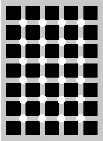 Human Perception Hermann grid illusion Hany Farid,