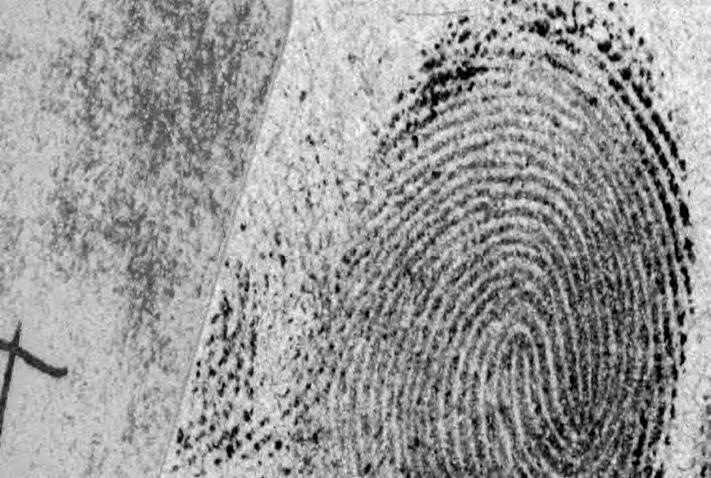 DCS 5 for fingerprint capture & enhancement By the end of the training you will have learnt the techniques required to photograph fingerprints on a wide range of surfaces.