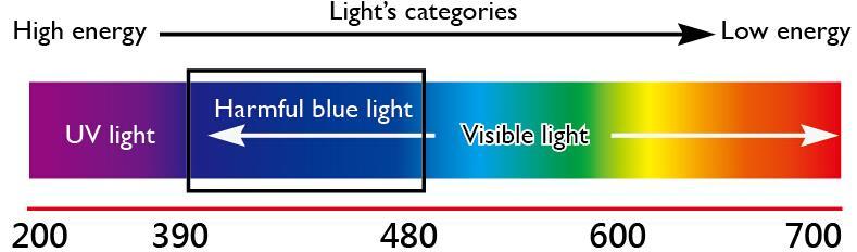 Blue Light Cut Film (Adhesive/ Non-Adhesive) What is Blue