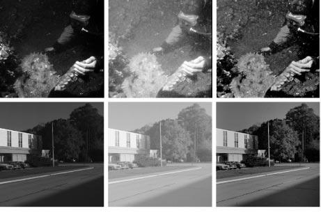 (a) Original (b) Homomorphic filter (c) MSRCR Figure 4: A comparison of the MSRCR with images enhanced by homomorphic filtering.