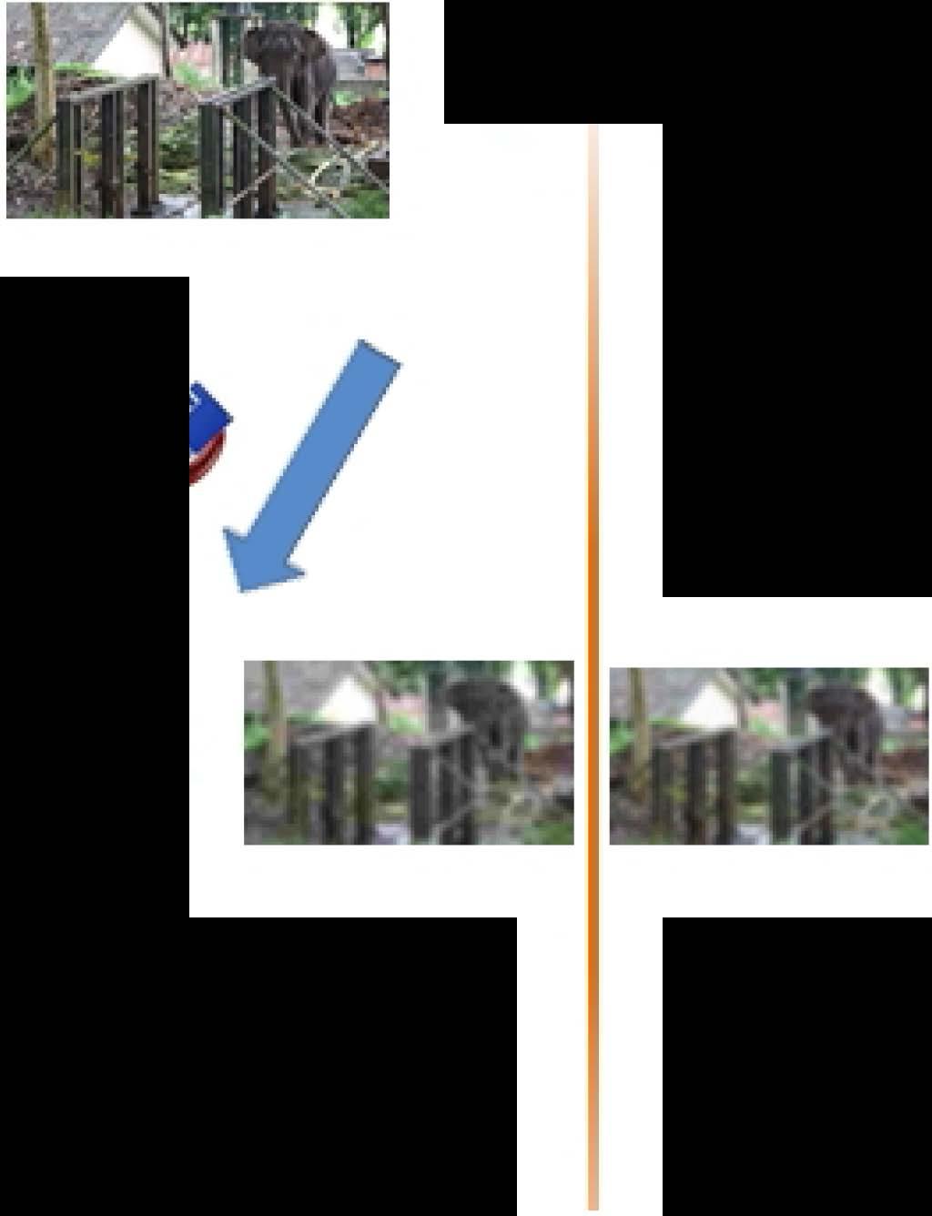 Blur followed by JPEG: Each of the four blurred images was compressed using the JPEG encoder bank.