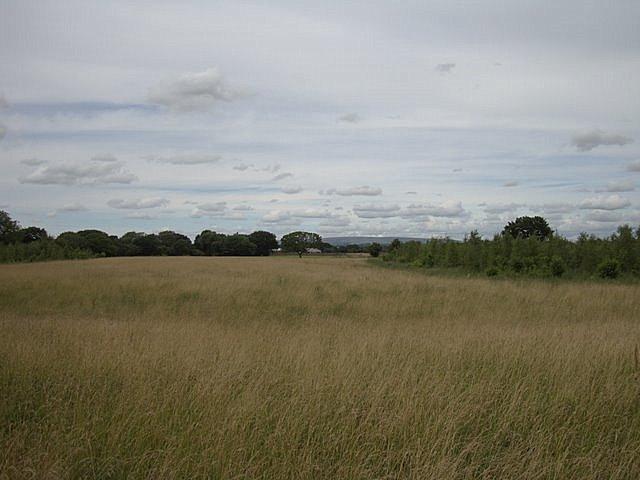 (Photo Ian McKerchar) Above: To the north of the site (here with Winter Hill in the distance) there are much larger, more open grasslands complete with pleasant walks and a few picnic benches.