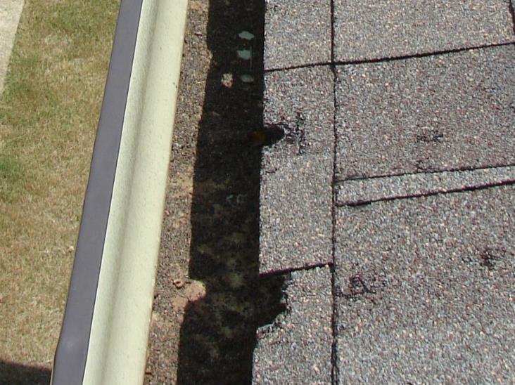 Hail Impacts Figure 2: Hail Damage to an Unsupported Eave Shingle 3. Does hail impact affect organic tabs differently than composition tabs?