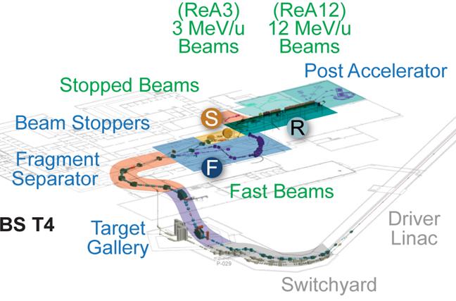 Reaccelerated beams at FRIB at MSU FRIB includes fast (F), stopped (S), and reaccelerated beams (R).