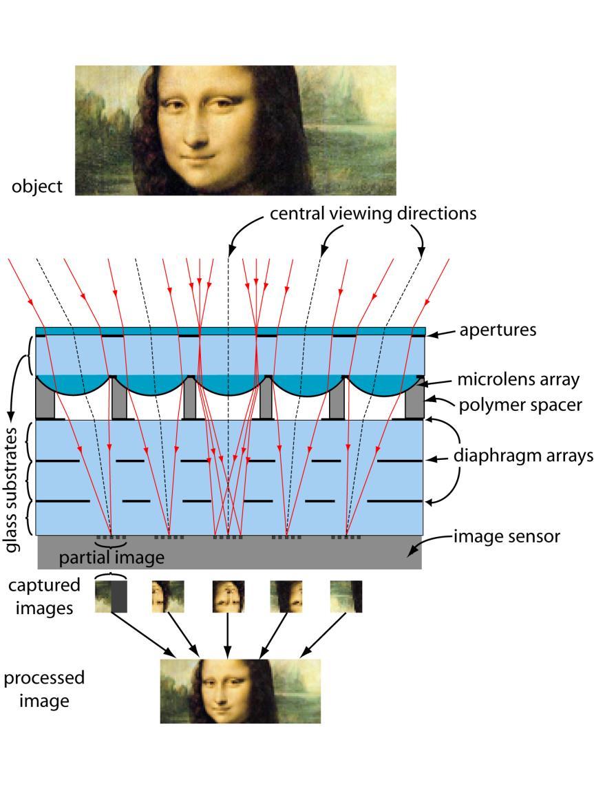 Features of electronic cluster eyes (ecley) array of miniature cameras each transmits partial image of a different part of FOV image processing to reconstruct final image from image segments