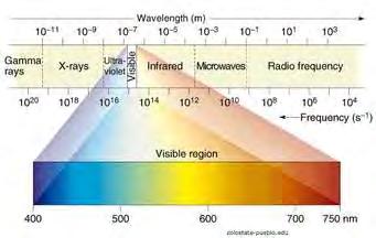 A human eye can see light from 400nm to 700nm on the electromagnetic spectrum. This range is called visible light.