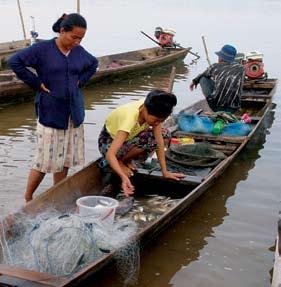 The Technical Advisory body FOR FISHERIES MANAGEMENT (TAB) Gender and fisheries in the Lower Mekong Basin Mekong Fisheries
