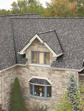 Along with one of IKO s quality shingles, your Pro 4 System includes these accessory products; Eave Protection GoldShield, ArmourGard, or StormShield Ice & Water Protectors IKO s Ice & Water
