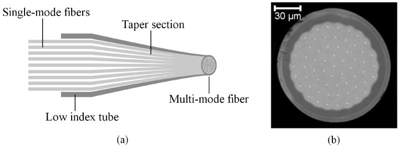 Fig. 2. (a) Schematic illustration of the fabricated Photonic Lantern. (b) Microscope image of the cross section of the MM tip of the Photonic Lantern.