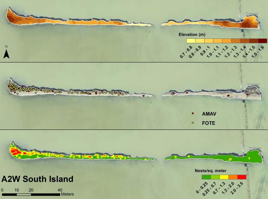 Island Topography & Nest Site Selection Real-time kinetics (RTK) GPS (1cm