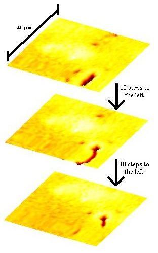 13, arc-like distortions are observed, especially on the right side of Figure 12: Dimensions of the AFM standard the image. In Fig. 14, a reflection effect is observed on the left side of the image.
