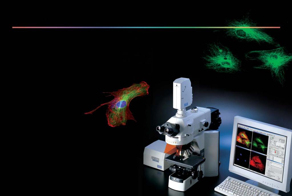 Three-dimensional confocal fluorescent images with unsurpassed resolution and contrast now obtainable at a minimum cost for use in broad bio-research applications Nikon proudly introduces a universal