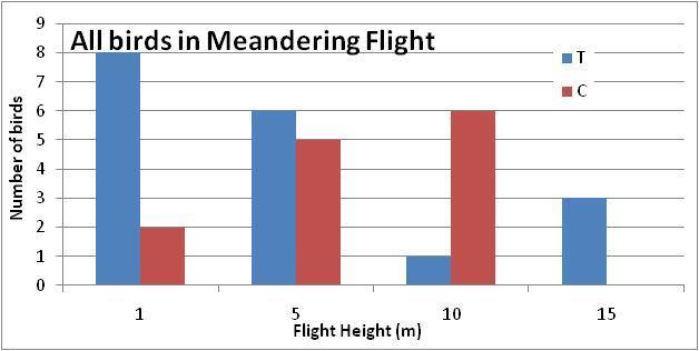 In the Test Quadrat, only Groups 2, 3, and 4 displayed meandering behavior (Figure 7). Again, Group 2 was mostly represented by HERG with only one LAGU. The average flight height of the HERG was 7.