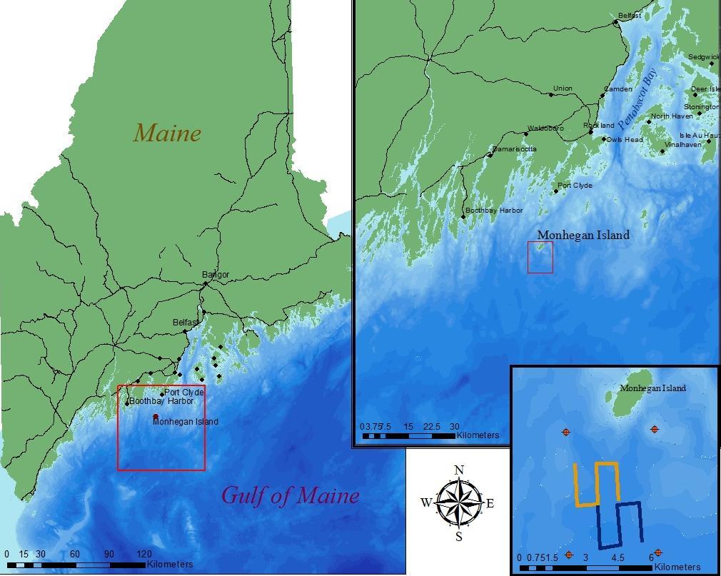 INTRODUCTION The Gulf of Maine (GOM) is a well-known avian corridor for the millions of songbirds, raptors, shorebirds, wading birds, and waterfowl to pass through during the spring and fall