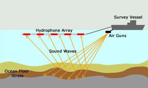 Underwater Noise Sources Examples of anthropogenic noise: Vessel traffic Development: Pile driving