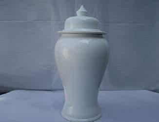 Tall White Ginger Vase
