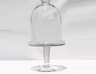 00 Large Dome On Glass Stand 46