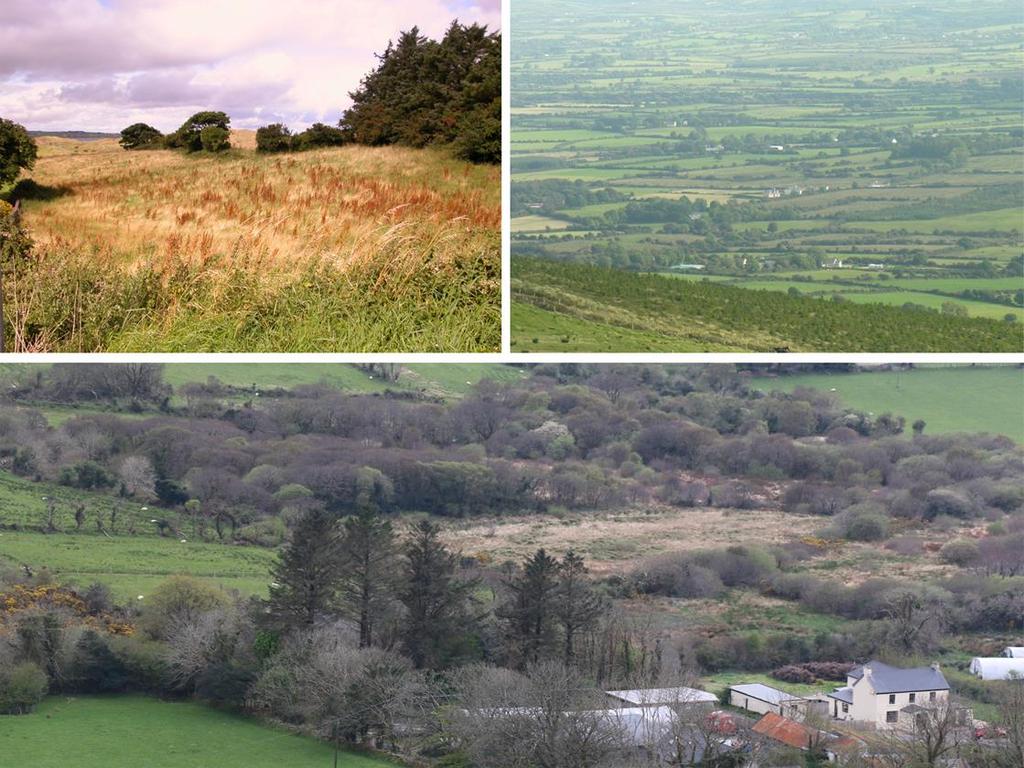Figure 4: Foraging habitats and typical landscapes used by Barn Owls in Ireland, including