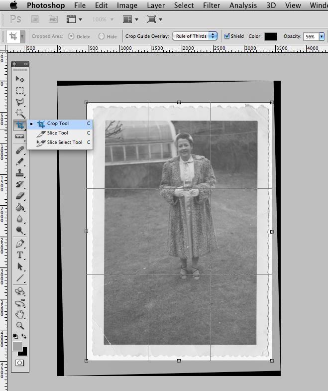 To crop the image, a. Select the Crop Tool from the Tool window. b. Drag the crop box around the image.