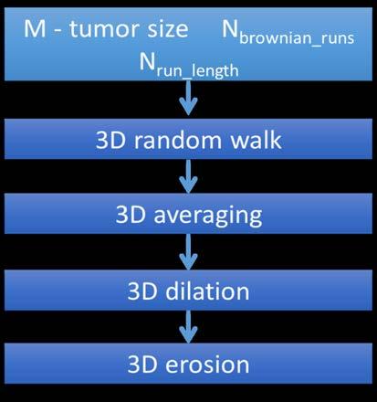 The main steps of the algorithm applied on tomosynthesis images are shown in figure 3, while selected three-dimensional