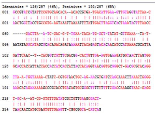 106 to 107 base pairs (bp), containing about 103 to 104 annotated genes. However, the total number of possible ORFs is usually in the order of 106 to 105.