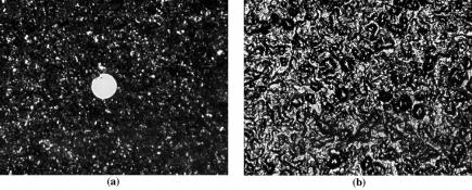 Figure 6. a) Optical microscope 750 image of the sandblasted copper plate with a loose 170 µm diameter Al 2 O 3 sand particle.