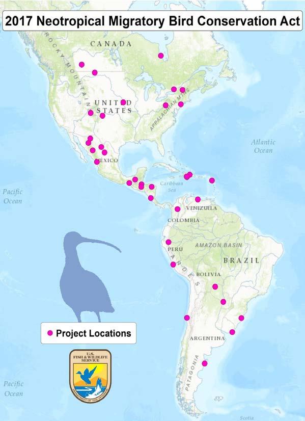 Neotropical Migratory Bird Conservation Act FY17 Grants 31 projects announced July 2017 Amount Awarded $3,802,084 Match Leveraged $14,167,369 North America