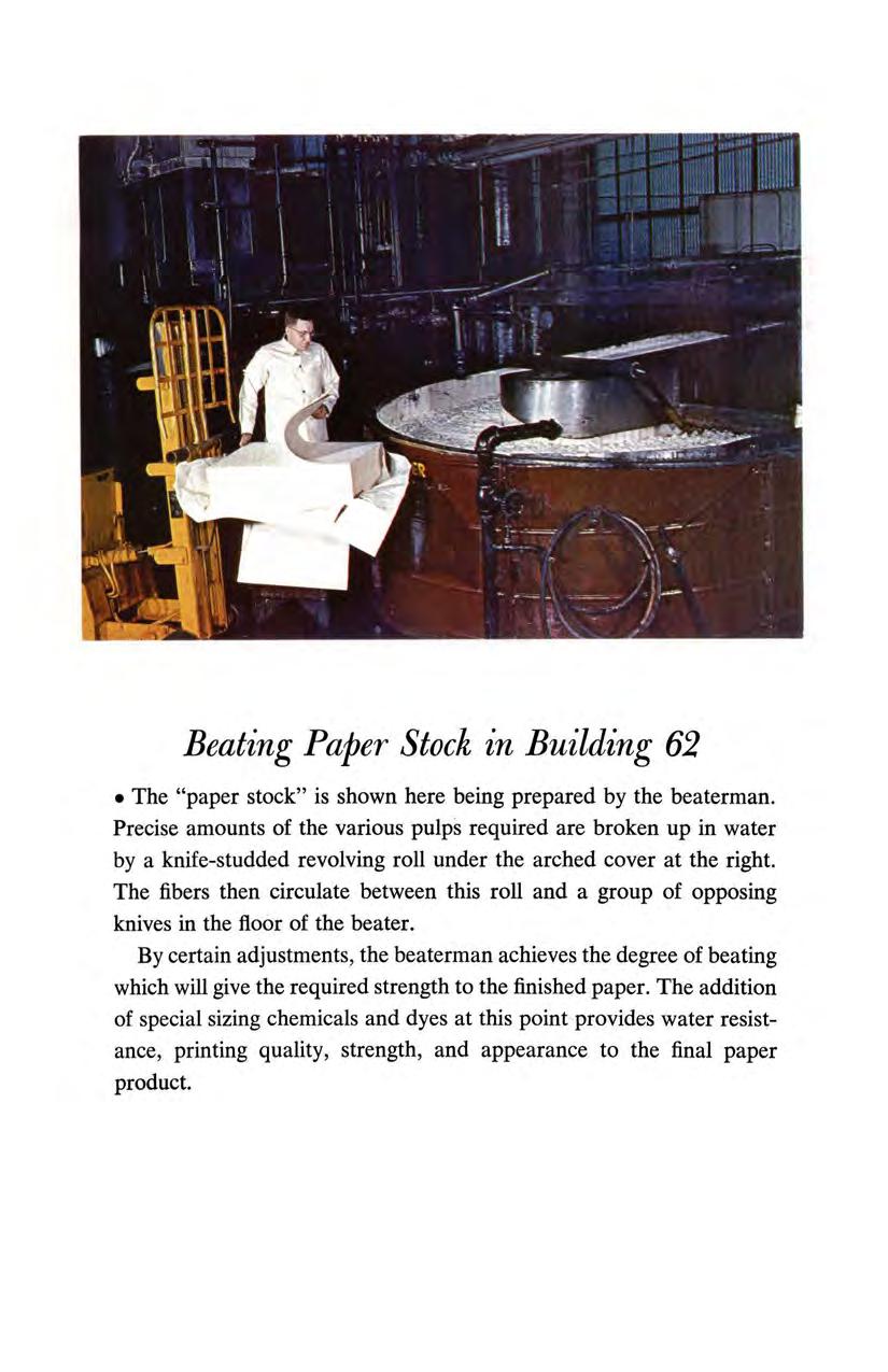 Beating Paper Stock in Building 62 The "paper stock" is shown here being prepared by the beaterman.