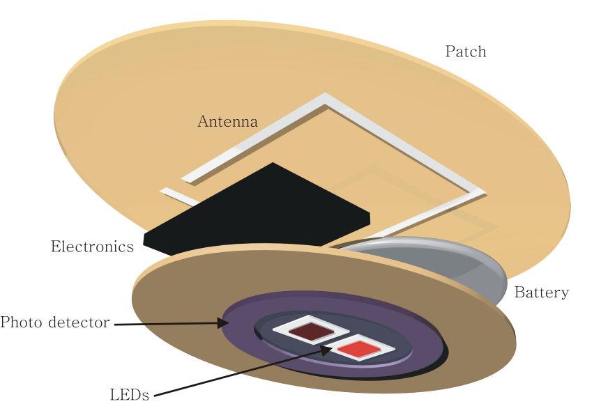 A Novel Ring Shaped Photodiode for Reflectance Pulse Oximetry in Wireless Applications Sune Duun, Rasmus G.