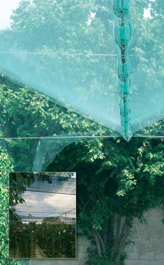 APPLICATIONS NETS FOR THE AGRICULTURAL AND LEISURE SECTORS Harvesting nets Harvesting nets are perfect for collecting fruits which fall off the tree when they are ripe, or which have to be shaken off