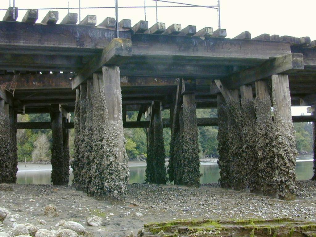 The Railroad Pier See