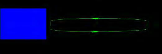 2. LASER DIODES WITH EXTERNAL FEEDBACK Let us first consider a BAL without optical feedback. Observing the near-field pattern of such a BAL, one may expect a top-hat shaped distribution.