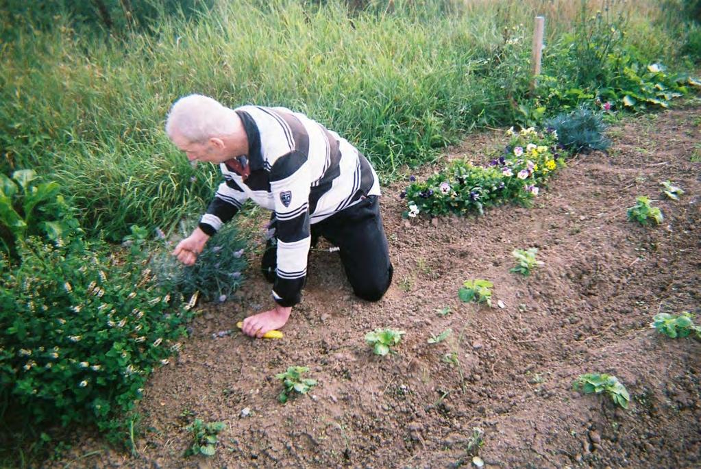 In Boston, a group of people have been raising funds for their allotment.