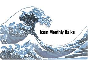 Introducing a New Air Band Radio A14/A14S Icom Monthly Haiku FR5000: A new Icom repeater. Scalability! Pay by the RU? Check the FR5000: Cut your rental fees! Let s go digital!