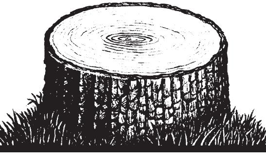 A drawing of a tree stump could show rough outer bark and a smooth inner surface. Search for ways to add texture to your projects. Texture adds variety and interest.