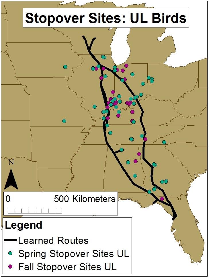 Learned Routes Are Whooping Cranes using stopover sites and winter use areas along the learned routes?