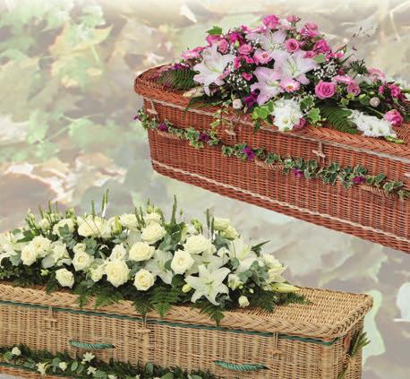 Woven Curved-end casket in buff willow,